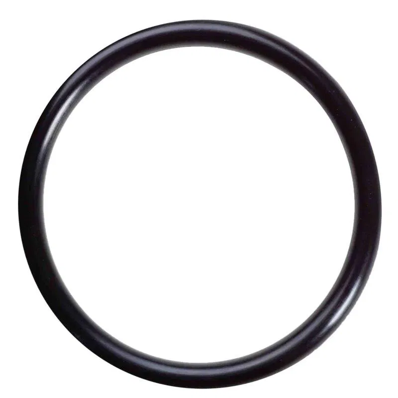 ANEL ORING ESG SBR DN200 DUR40