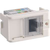 MOD. TOM. RJ45-8 FIOS UTP CAT.6 1M BR