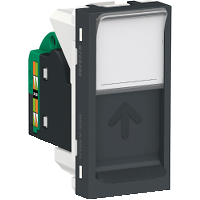 TOM RJ45 CAT5E GR ORION