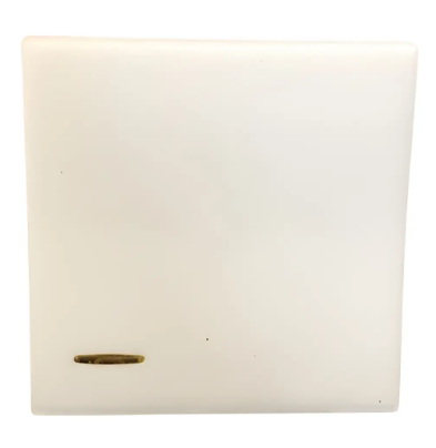 INT SIMPLES 2 MOD 10A 250V C/LUZ BR PP