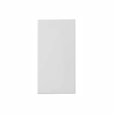 INT PARAL 16A 250V BR DTM