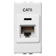 TOM RJ45 CAT6 BR ILUS