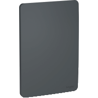 PLACA CEGA 4X2 STELLAR BLACK ORION
