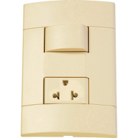 CONJ PULSADOR CAMPAINHA 10A 250V PL/BR