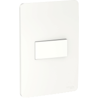 INT S 10A 250V 4X2 BR ORION