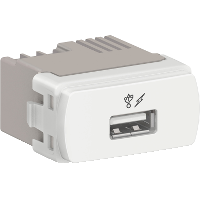 TOM USB 1A BIV BR MILUZ