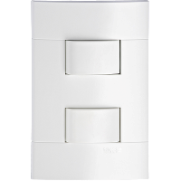CONJ 2 INTERES PARALELOS 10A 250V PL/BR