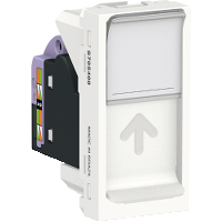 TOM RJ45 CAT6 BR ORION