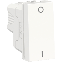 INT BIP S 10A 250V BR ORION