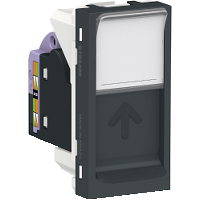 TOM RJ45 CAT6 GR ORION