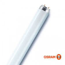 LAMP FLUOR 58W 765 BASIC T8