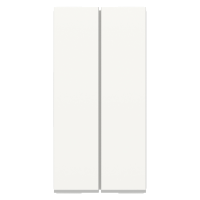 INT S DUPLO 10AX 250V 2M BR ORION