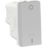INT BIP S 10A 250V AL ORION