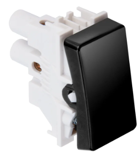 INT SIMPLES 10A 250V PT S20