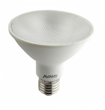 LAMP LED PAR30 11W 840 938LM BIV