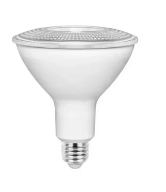 LAMP LED PAR30 11W 865 938LM BIV