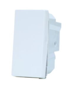 INT S 10A 250V BR UNNO