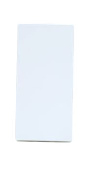 INT PARAL 10A 250V BR UNNO