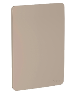 PLACA CEGA 4X2 BG ORION