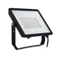 REFLETOR 50W 865 PT BIV